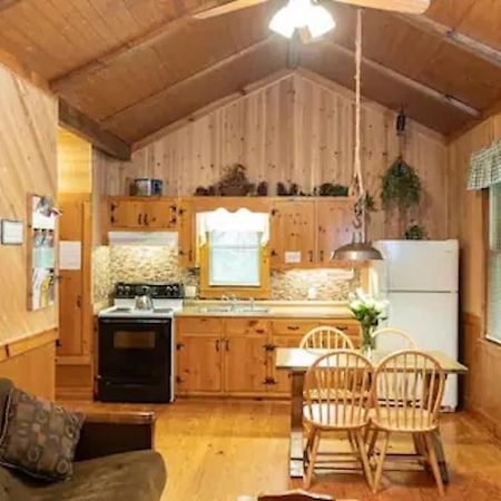 Cozy Cabin: River View With Hot Tub 달로네가 외부 사진