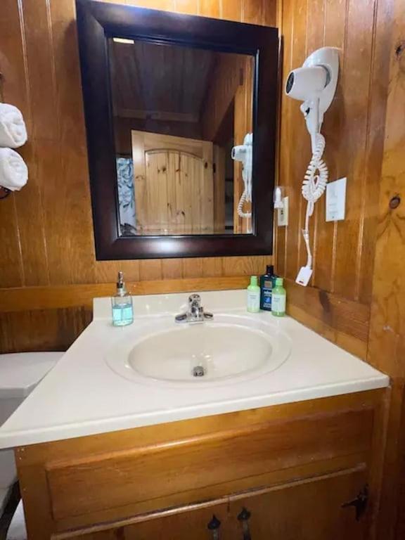 Cozy Cabin: River View With Hot Tub 달로네가 외부 사진